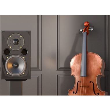 Acoustic Energy AE1 40 40th Anniversary Edition Standmount Speaker
