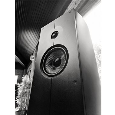 Acoustic Energy Corinium Floorstanding Speakers