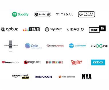 Bluesound Powernode Wireless HiFi 80w Streaming Amp