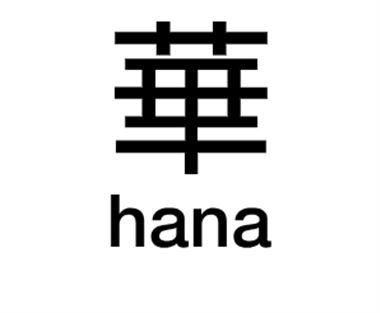 Hana SL MKII Low Output Moving Coil Cartridge