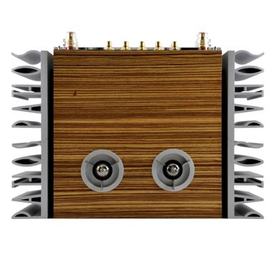  Pathos Inpol Remix MKII Tiger Wood