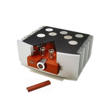  ProAc D48R Speakers with Pathos Logos MkII Amplifier and AURALiC VEGA G2.2 Streaming DAC