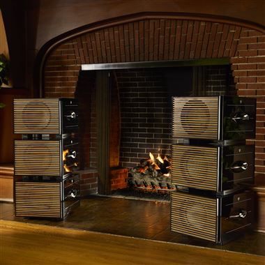 New... REL Carbon Special Black Label Subwoofer