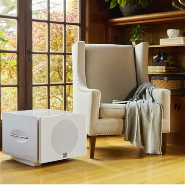 New... REL S/850 Subwoofer