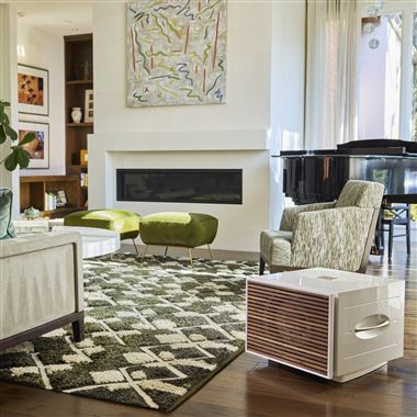 New... REL S/850 Subwoofer