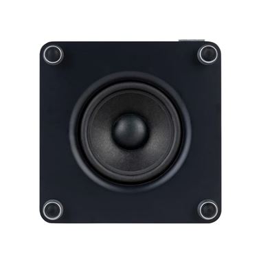 Ruark RS1 Subwoofer