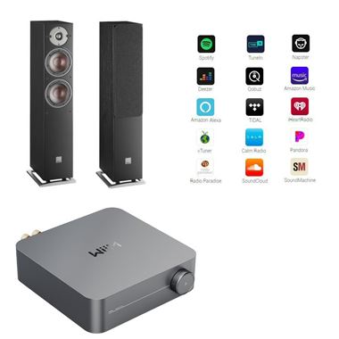 WiiM Amp Streaming Amplifier And Dali Oberon 5 Floorstanding Speakers