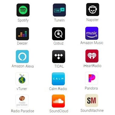 WiiM Amp Streaming 60w Amplifier in Space Grey.