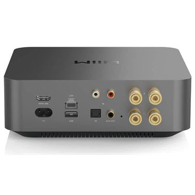 Wiim Amp Pro Streaming Amplifier