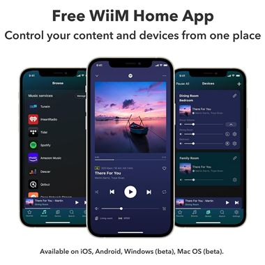 WiiM Pro Plus Audiophile Grade Multi-Room Music Streamer