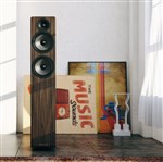 Acoustic Energy 109 MK2 Floorstanding Speakers