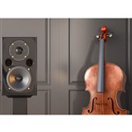 Acoustic Energy AE1 40 40th Anniversary Edition Standmount Speaker