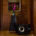 New... REL S/850 Subwoofer