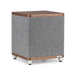 Ruark RS1 Subwoofer