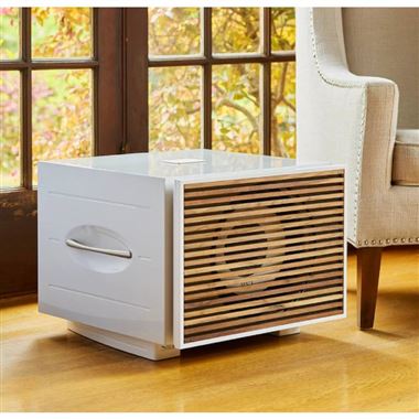 New... REL S/850 Subwoofer