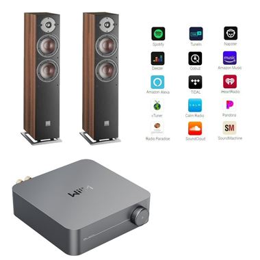 WiiM Amp Streaming Amplifier And Dali Oberon 5 Floorstanding Speakers